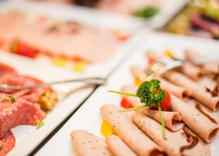 Plaza מלון דיסבורג